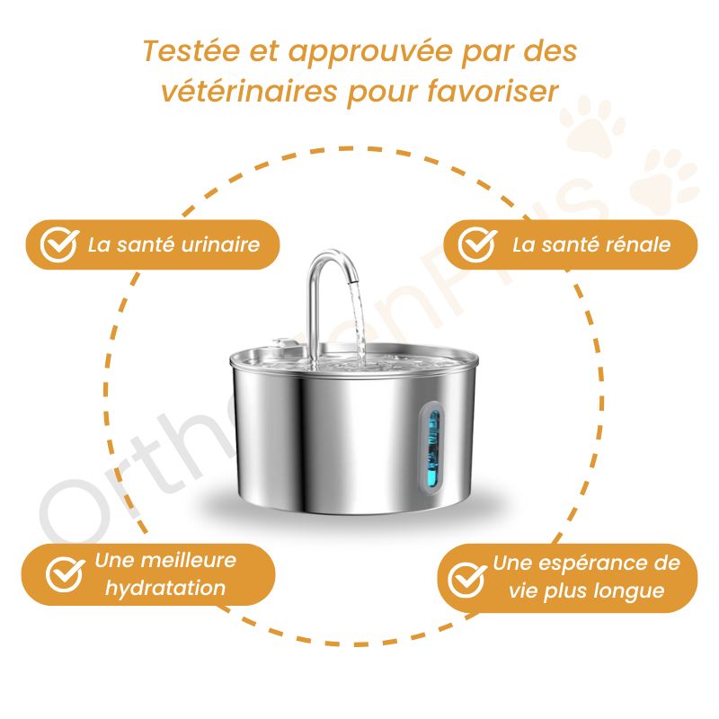 fontaine N1 recommandée par les vétérinaires
