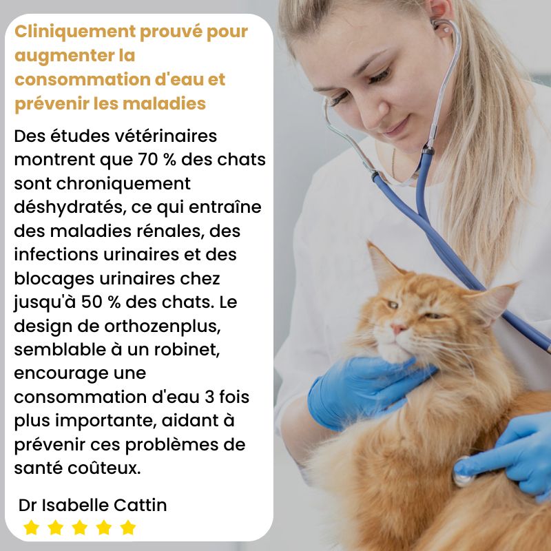 fontaine N1 recommandée par les vétérinaires