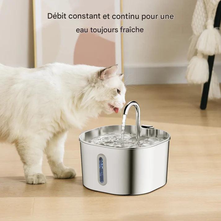 fontaine N1 recommandée par les vétérinaires