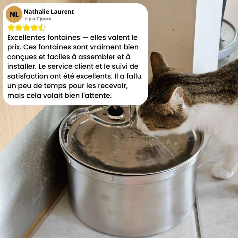 fontaine N1 recommandée par les vétérinaires