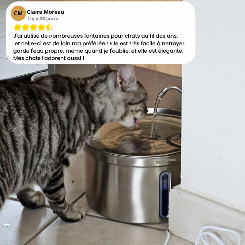 fontaine N1 recommandée par les vétérinaires